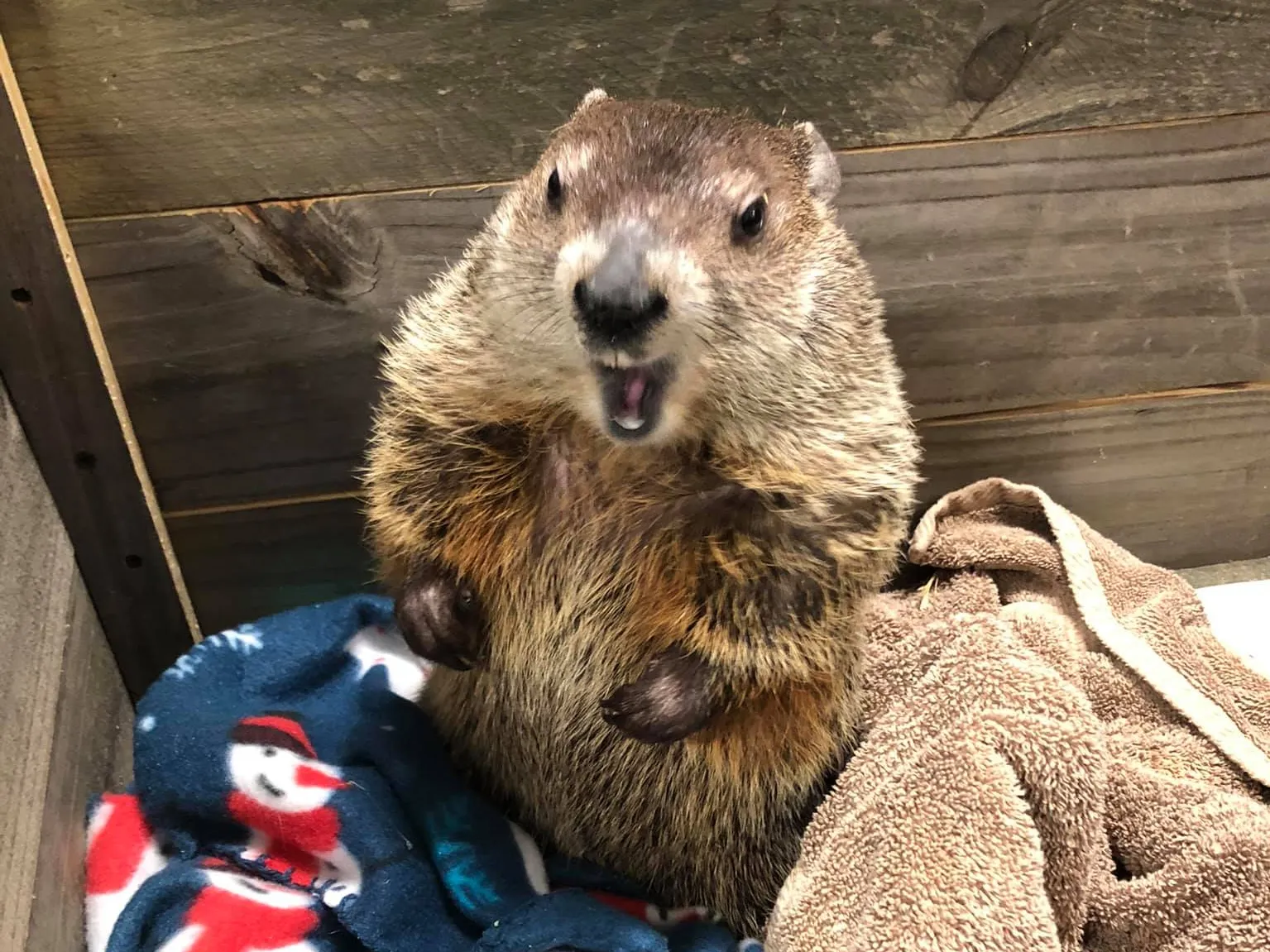 267f2043-8b90-4e5a-803c-612a9e770d4c-Grubby