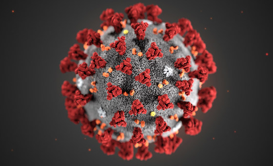 coronavirus